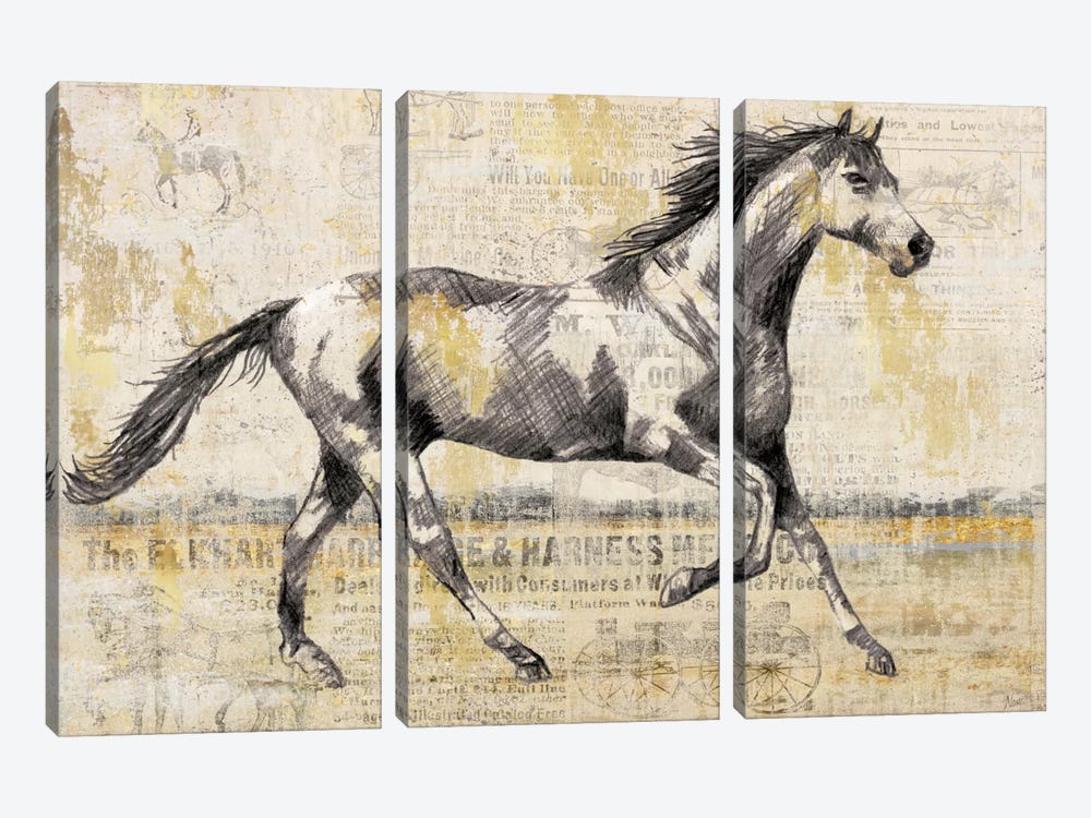 Golden Stallion I by Nan 3-piece Canvas Art Print