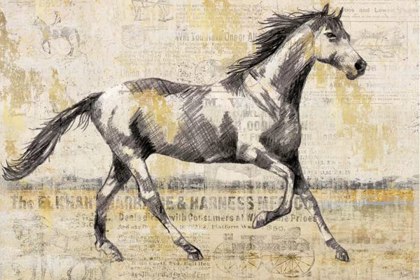 Horses: Golden Stallion I by Nan