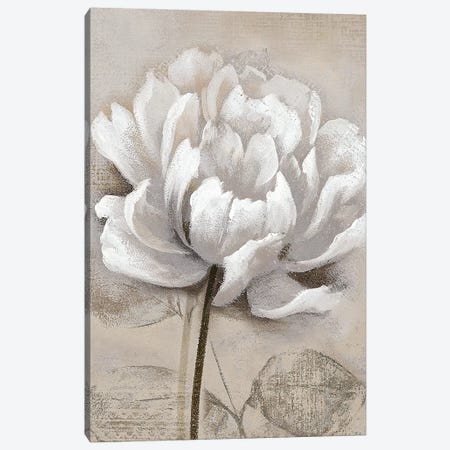 Soft White I Canvas Print #NAN350} by Nan Canvas Wall Art