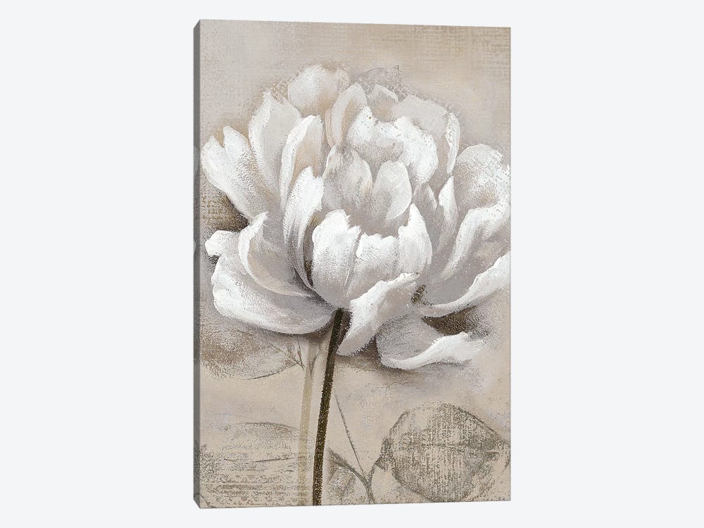 Soft White I by Nan 1-piece Art Print