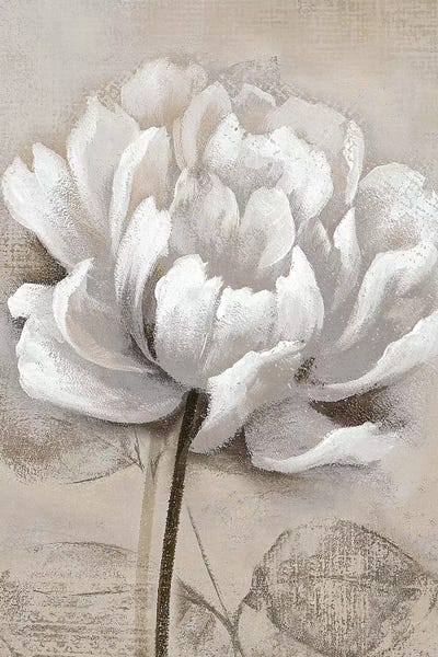 Nan: Soft White I by Nan