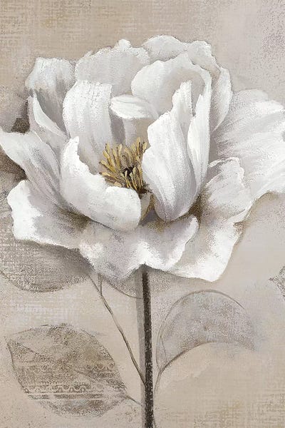 Nan: Soft White II by Nan