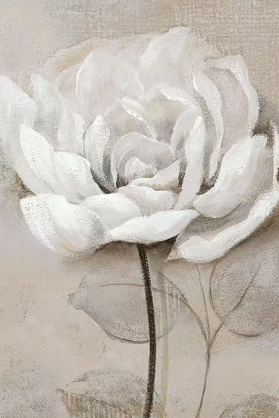 Soft White III by Nan art print