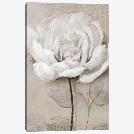 Soft White III Canvas Print #NAN352} by Nan Canvas Wall Art