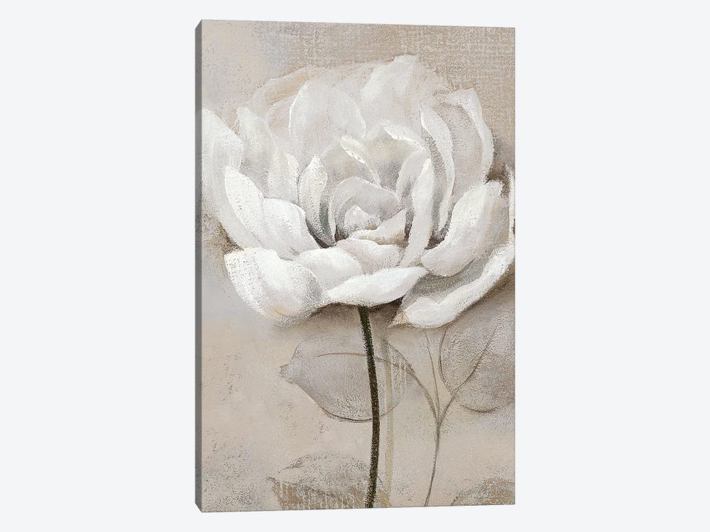Soft White III by Nan 1-piece Canvas Print
