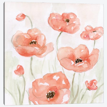 Spring Poppies II Canvas Print #NAN354} by Nan Art Print