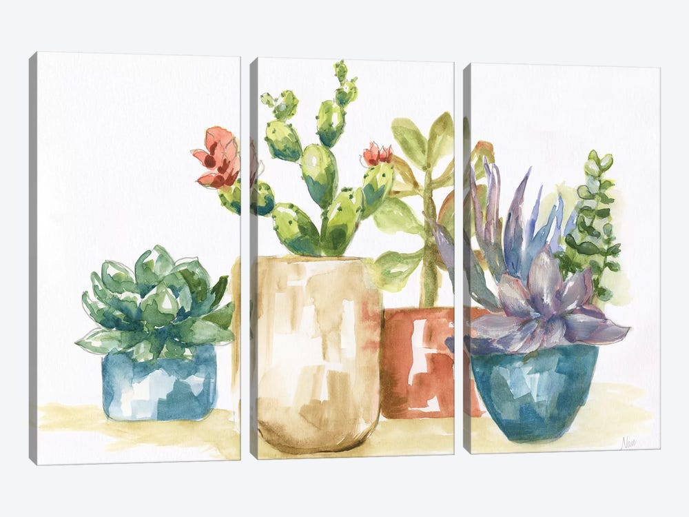 Summer Succulents I by Nan 3-piece Canvas Artwork