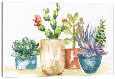 Summer Succulents I Canvas Art Print - Abstract Floral & Botanical Art