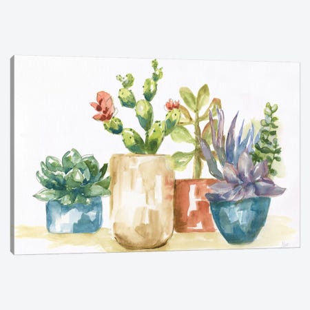 Summer Succulents I Canvas Print #NAN359} by Nan Canvas Art