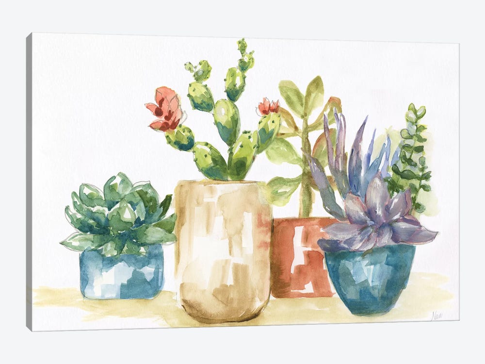 Summer Succulents I by Nan 1-piece Canvas Art