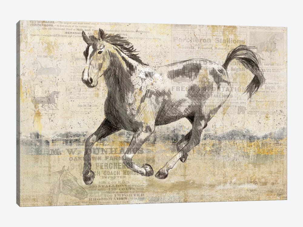Golden Stallion II by Nan 1-piece Canvas Artwork