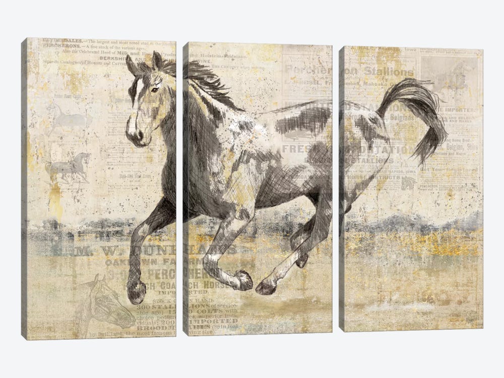 Golden Stallion II by Nan 3-piece Canvas Wall Art