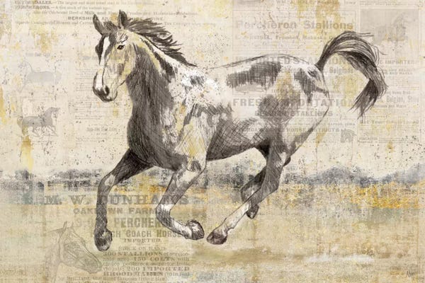 Horses: Golden Stallion II by Nan