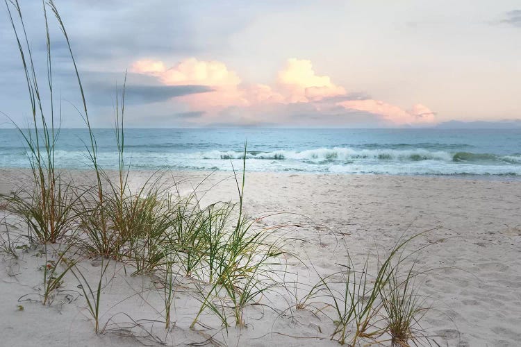 Beach Driftwood by Nan wall art