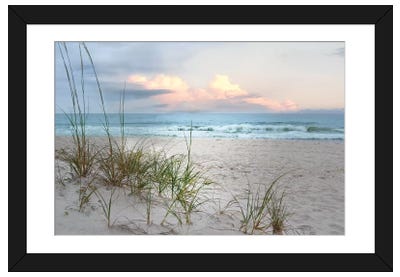 Beach Driftwood Framed Art Print