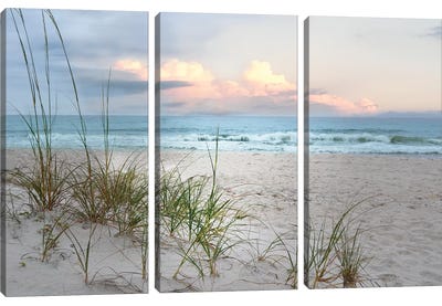 Beach Driftwood Canvas Art Print - 3-Piece Photography