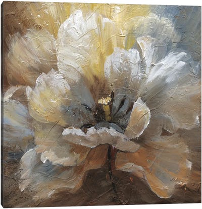 Blooming II Canvas Art Print - Nan