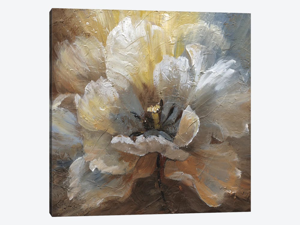 Blooming II by Nan 1-piece Canvas Art