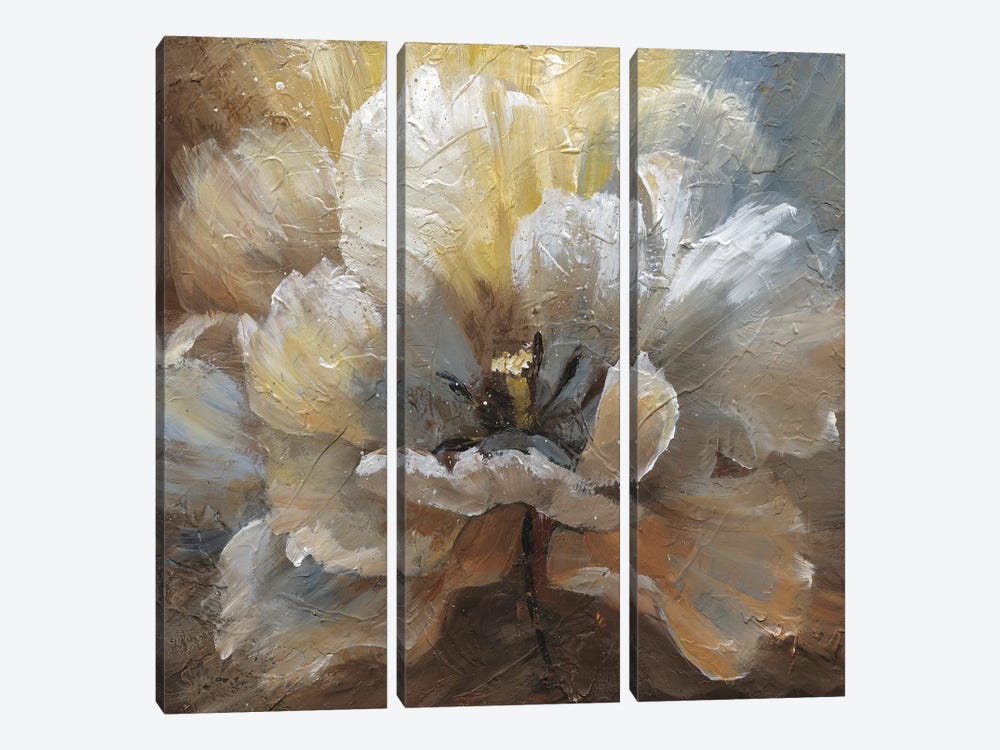 Blooming II by Nan 3-piece Canvas Wall Art