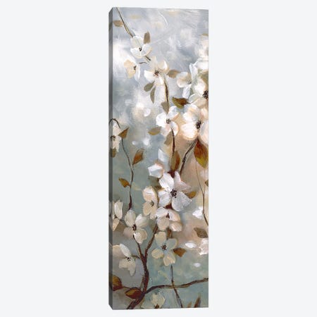 Blossoms of Spring I Canvas Print #NAN372} by Nan Canvas Wall Art