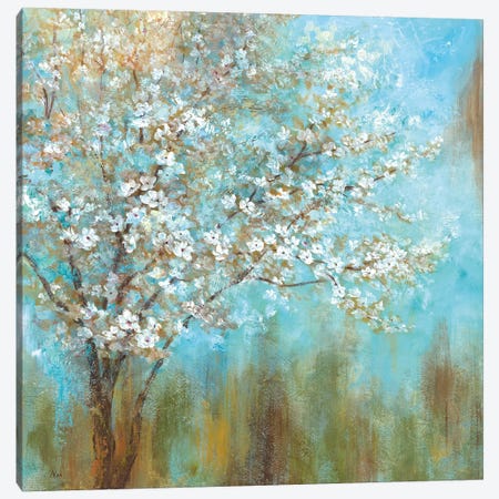 Cherry Blossoms Canvas Print #NAN383} by Nan Art Print