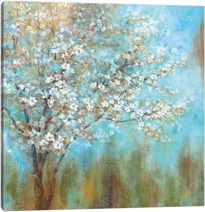 Cherry Blossoms Canvas Art Print - Blossom Art