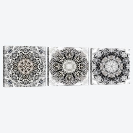 Black White Kaleidoscope Triptych Canvas Print Set #NAN3HSET001} by Nan Art Print