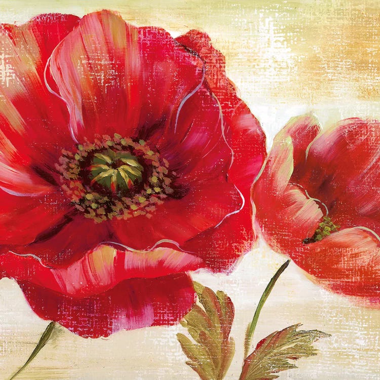 Passion for Poppies I by Nan wall art