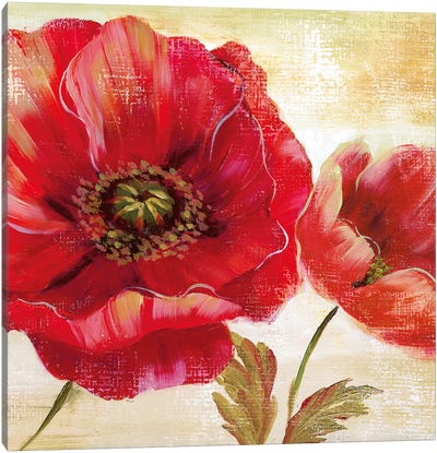 Passion for Poppies I Canvas Art Print - Red Passion