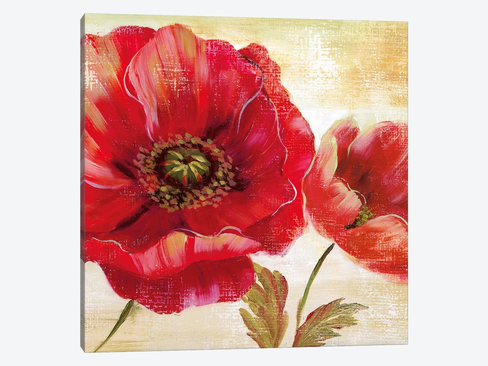 Passion for Poppies I by Nan 1-piece Canvas Artwork