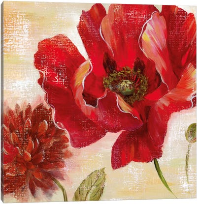 Passion for Poppies II Canvas Art Print - Poppy Art