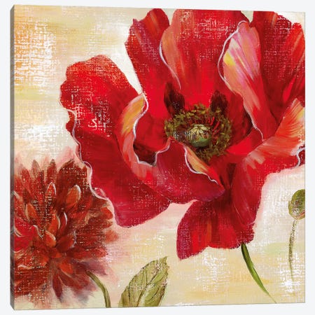 Passion for Poppies II Canvas Print #NAN435} by Nan Canvas Art