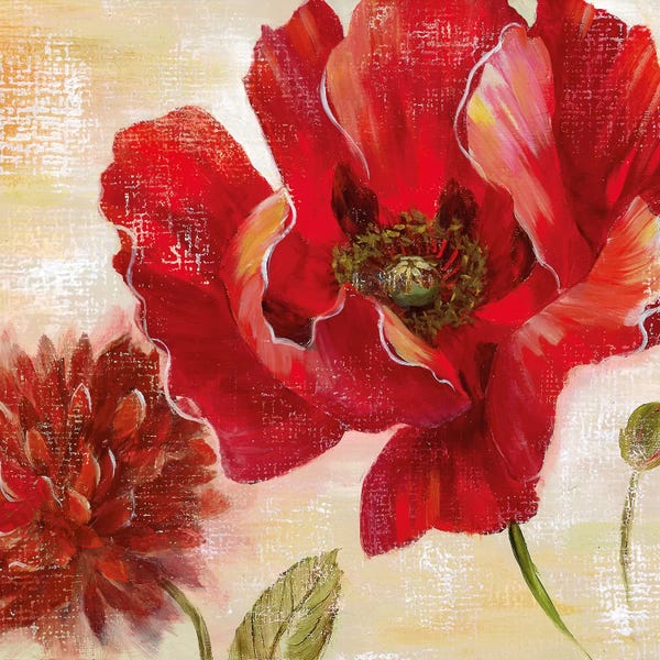 Poppies: Passion for Poppies II by Nan