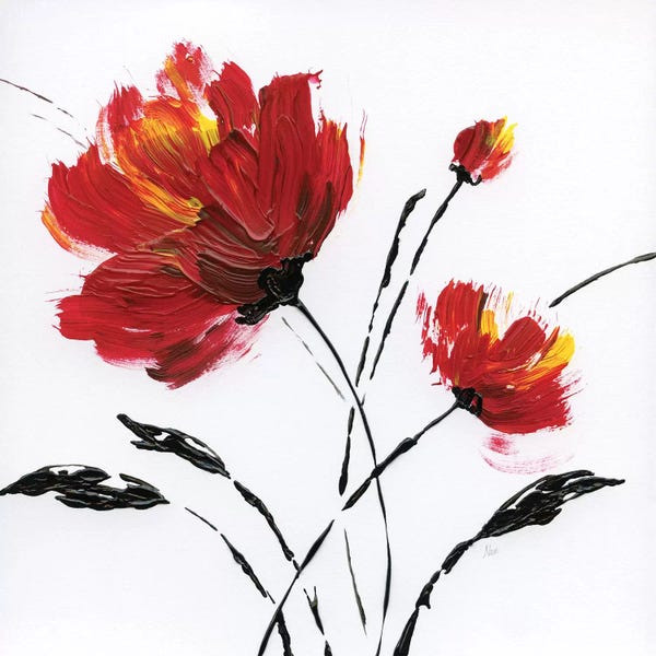 Poppies: Red Poppy Splash II by Nan