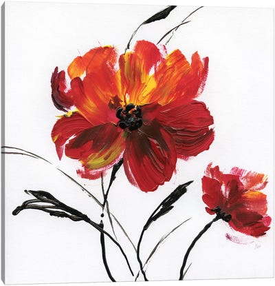 Red Poppy Splash III Canvas Art Print - Poppy Art