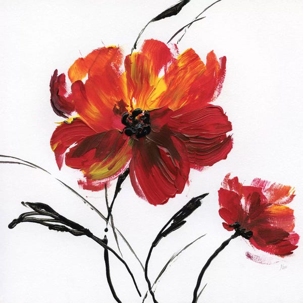 Poppies: Red Poppy Splash III by Nan