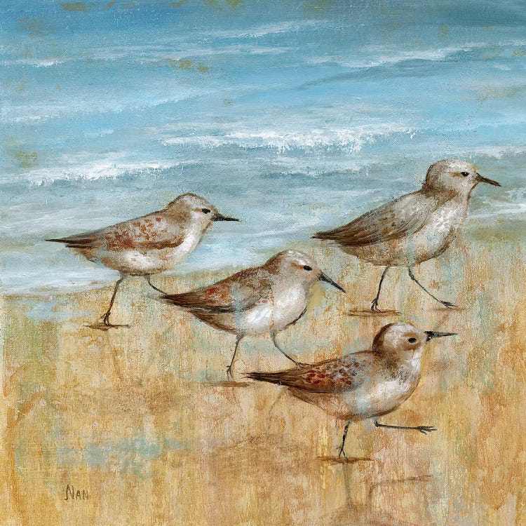 Sandpipers I by Nan wall art