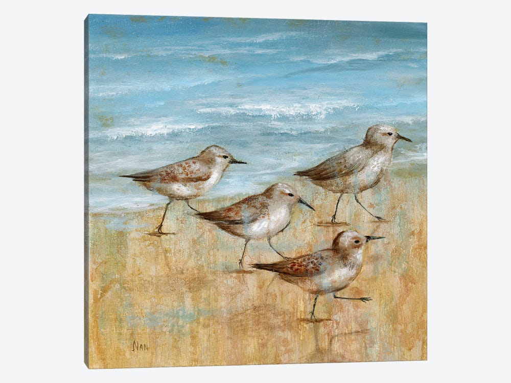Sandpipers I by Nan 1-piece Canvas Art