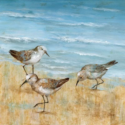 Sandpipers II by Nan framed canvas print