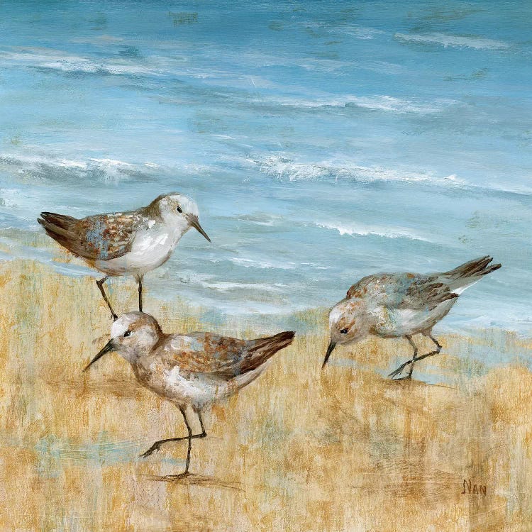 Sandpipers II by Nan wall art