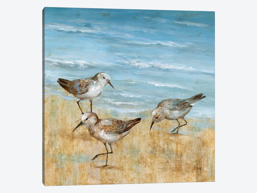 Sandpipers II by Nan 1-piece Canvas Art Print