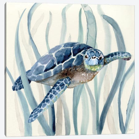 Turtle in Seagrass I Canvas Print #NAN44} by Nan Canvas Art