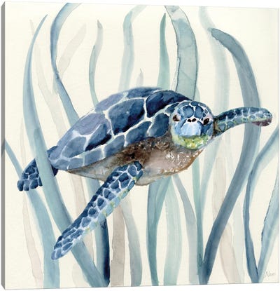 Turtle in Seagrass I Canvas Art Print - Large Art for Bathroom