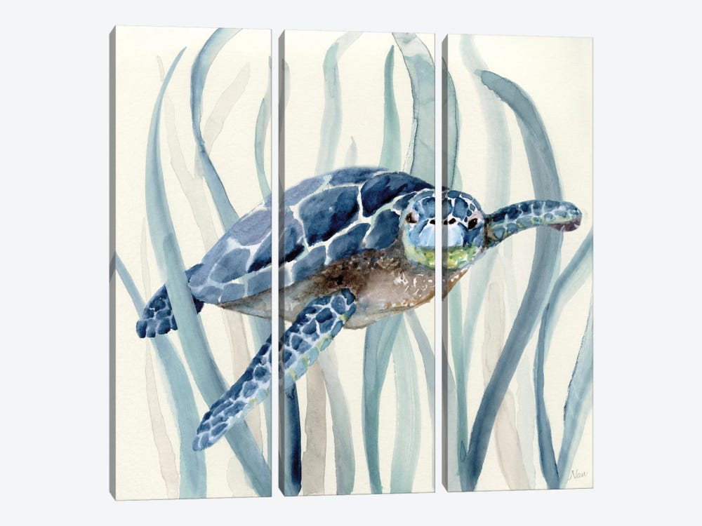 Turtle in Seagrass I 3-piece Canvas Wall Art