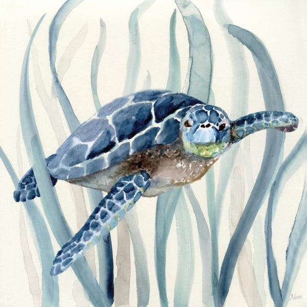 Sea Life: Turtle in Seagrass I by Nan