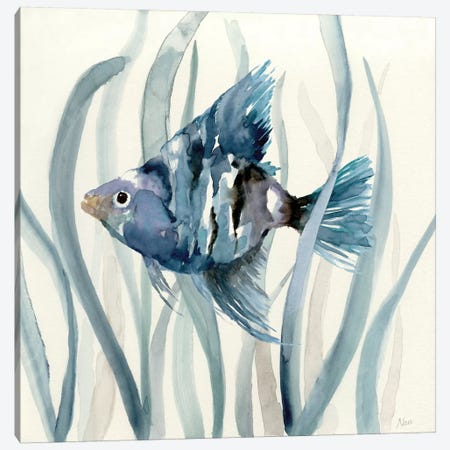 Fish in Seagrass II Canvas Print #NAN45} by Nan Canvas Artwork
