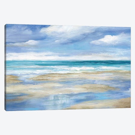 Washy Coast I Canvas Print #NAN471} by Nan Canvas Print