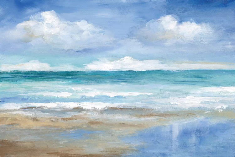 Washy Coast II