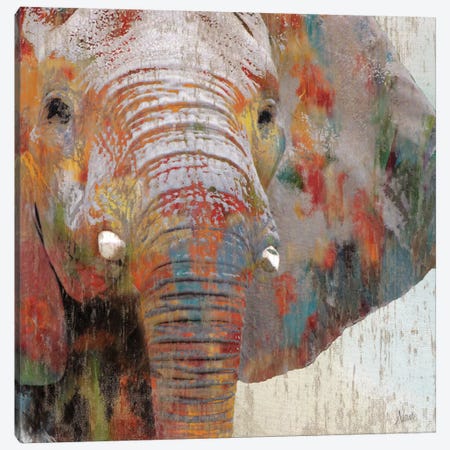 Paint Splash Elephant Canvas Print #NAN47} by Nan Canvas Artwork