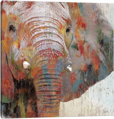 Paint Splash Elephant Canvas Art Print - Close-up